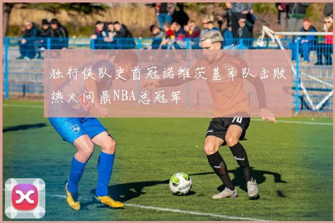 独行侠队史首冠诺维茨基率队击败热火问鼎NBA总冠军