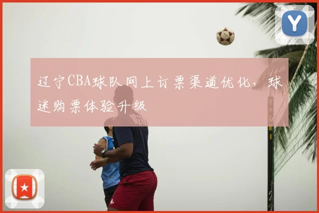 辽宁CBA球队网上订票渠道优化，球迷购票体验升级