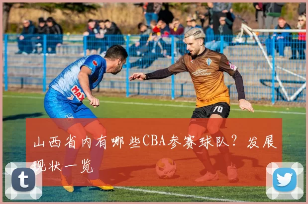 山西省内有哪些CBA参赛球队?发展现状一览