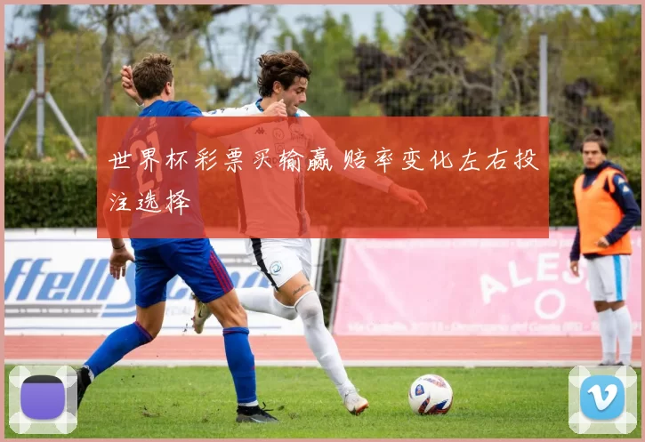 世界杯彩票买输赢 赔率变化左右投注选择