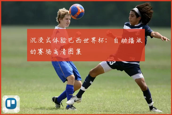 沉浸式体验巴西世界杯：自动播放的赛场高清图集