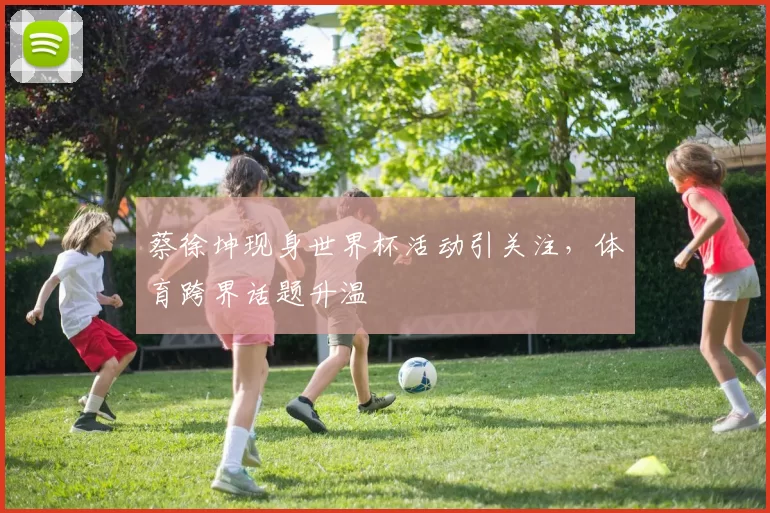 蔡徐坤现身世界杯活动引关注，体育跨界话题升温