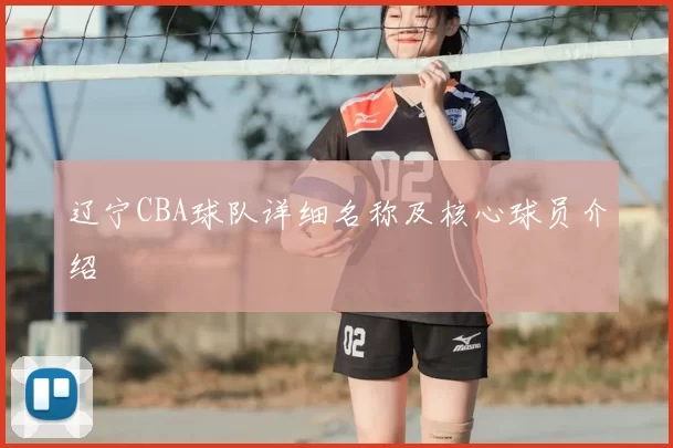 辽宁CBA球队详细名称及核心球员介绍