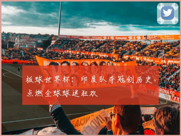 板球世界杯：印度队夺冠创历史，点燃全球球迷狂欢
